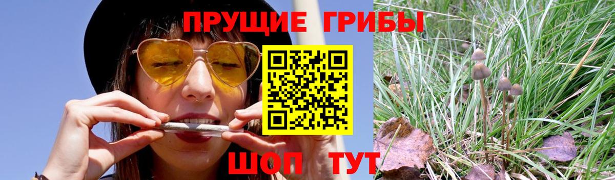 Галлюциногенные грибы ЛСД Троицк
